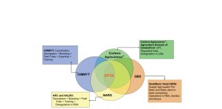 Seed technology aims for higher quality at lower cost