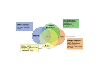 Seed technology aims for higher quality at lower cost