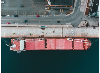 New opportunities as SA celebrates first soybean export to China