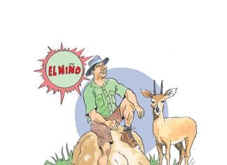 Vrede is nie net ’n plek nie