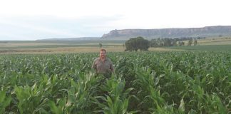 Rekordoes uit die Oos-Vrystaat