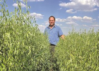 Niks klop noukeurigheid nie