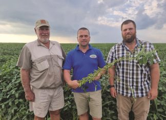 Beskerm jou opbrengs