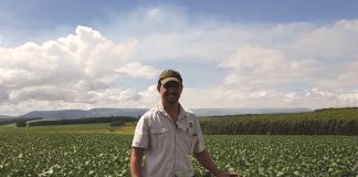 Stel visier wyer, meen jong produsent van KZN
