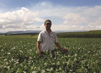 Stel visier wyer, meen jong produsent van KZN