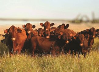 Vergeet die bure – bly eerder in pas met winsgewende praktyke