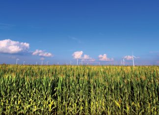 Bestuur die graanmarkte: ’n gids tot instrumente en strategieë