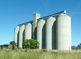 Hoe vinnig bereik graan die silo’s?