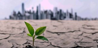 Die werklike marge-effek van klimaat, inset- en uitsetpryse