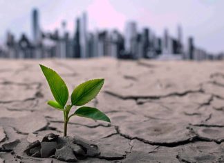 Die werklike marge-effek van klimaat, inset- en uitsetpryse