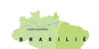 Brasilië se graanrewolusie: ’n verhaal van innovasie en volharding