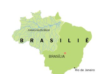 Brasilië se graanrewolusie: ’n verhaal van innovasie en volharding