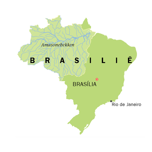 Brasilië se graanrewolusie: ’n verhaal van innovasie en volharding