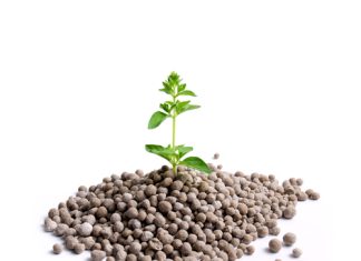 KUNSMISPRYSE DAAL, maar is steeds nie laag