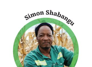 Knowledge leads to success