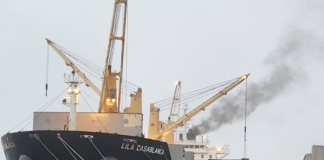 Yellow maize imports – first vessel in five years off-loads in Cape Town