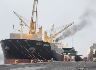 Yellow maize imports – first vessel in five years off-loads in Cape Town