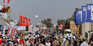 NAMPO se werklike sukses lê in vennootskappe
