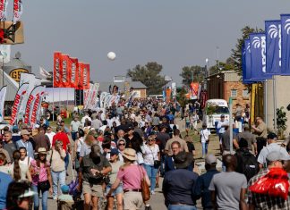 NAMPO se werklike sukses lê in vennootskappe