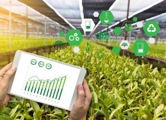 Strategiese gebruik van MARKINSTRUMENTE vir suksesvolle bemarking