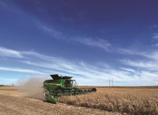 Investment in soybean industry creates new opportunities