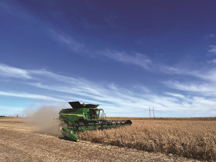 Investment in soybean industry creates new opportunities
