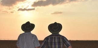 FAMILIEBOERDERY – dink só oor finansies