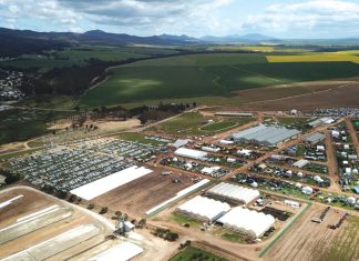 NAMPO Kaap: SA landbou bly die ruggraat van ekonomiese groei