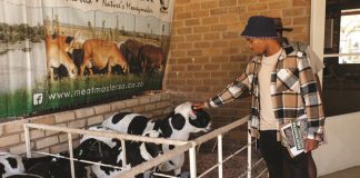 ERVARING en VISIE laat veeprogram gedy