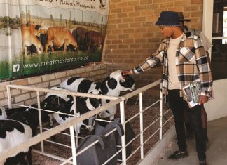 ERVARING en VISIE laat veeprogram gedy