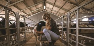 THINKING OF A DEGREE IN AGRICULTURE?