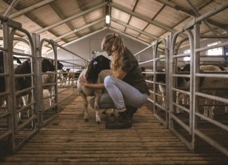 THINKING OF A DEGREE IN AGRICULTURE?