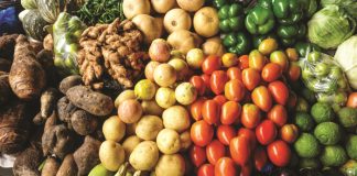 New bachelor’s degree in food systems at Kovsies