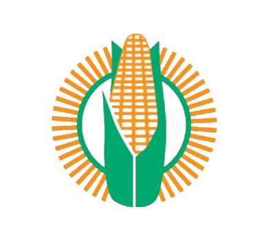 Maize technology research enhanced through Maize Trust bursaries