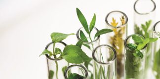 Exploring semiochemical-based strategies in pest management