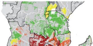 Hoe beïnvloed uiterste WEERVERSKYNSELS globale graanmarkte?