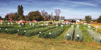 AGRICOL SE GROENDAG fokus op volhoubaarheid