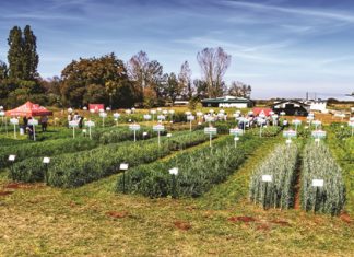 AGRICOL SE GROENDAG fokus op volhoubaarheid