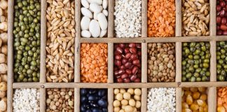 Acts and regulations governing the seed industry in South Africa