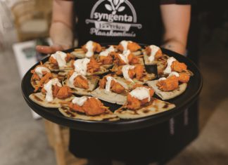 Kollig op voedselwaardeketting met PLAASKOMBUIS-KONSEP