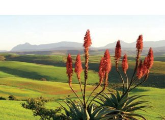 SAVE THE OVERBERG: protecting a unique landscape