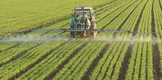 Phasing out of potentially HARMFUL AGRICULTURAL REMEDIES comes into effect
