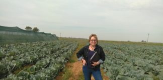 Saam maak hulle SA beter