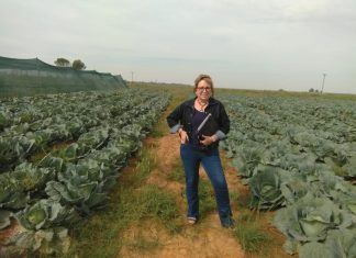 Saam maak hulle SA beter