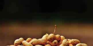 Navigating product recalls and the implication of aflatoxin contamination