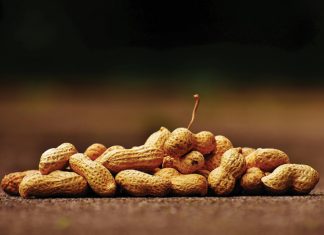 Navigating product recalls and the implication of aflatoxin contamination