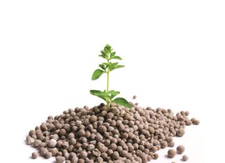 Stikstofbevattende kunsmis: Is daar verskille in verliese?