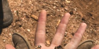 GYPSUM and CALCIUM sources tackle high sodium levels in soils
