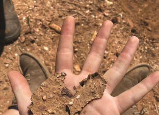 GYPSUM and CALCIUM sources tackle high sodium levels in soils