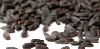 SEED – stay on the right side of the law